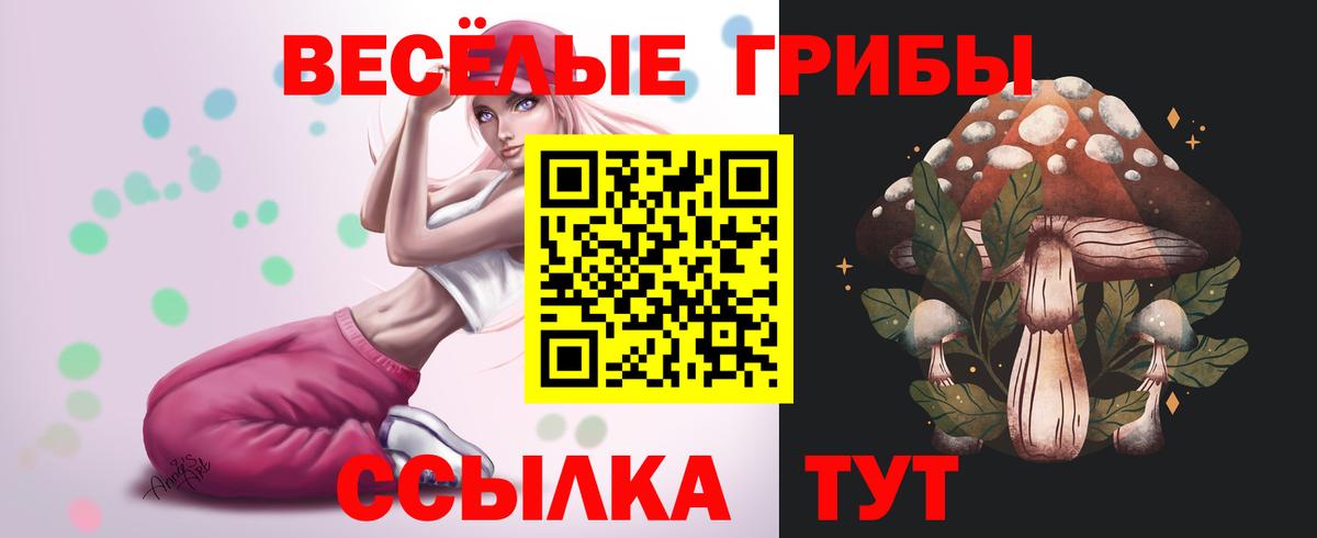Псилоцибиновые грибы прущие грибы  Вход с VPN  Липецк 